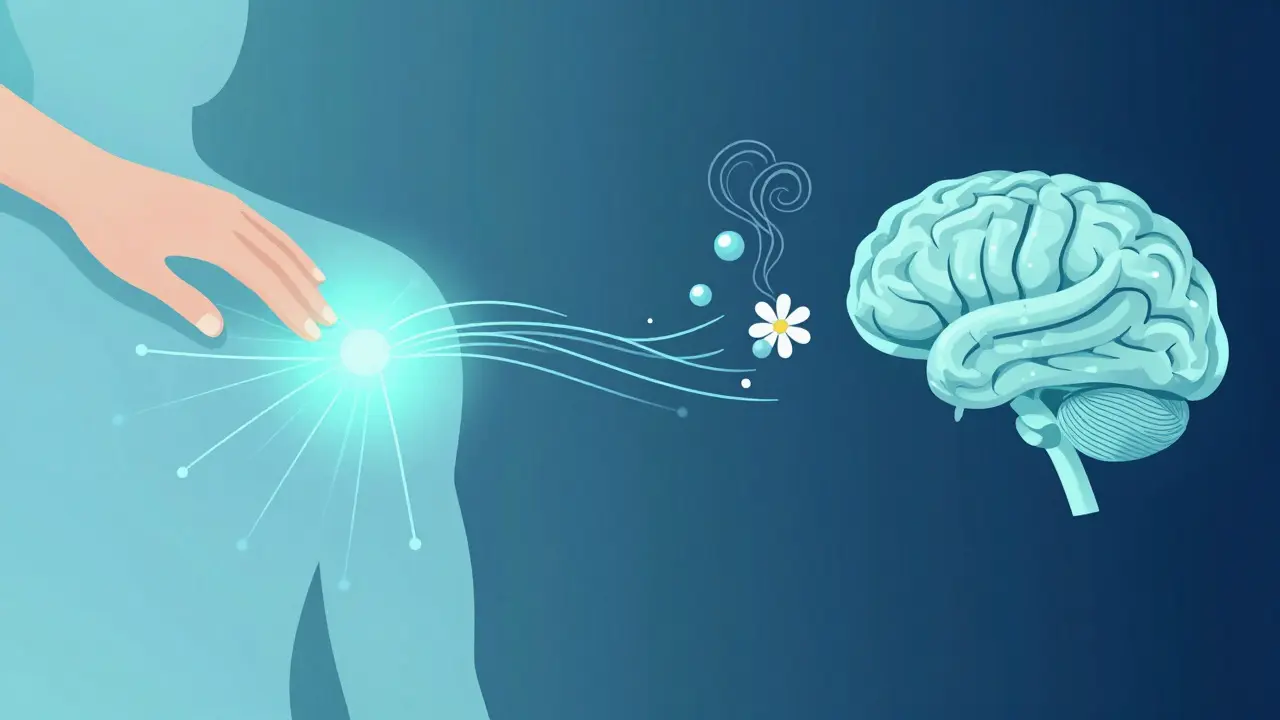 Abstract illustration showing neural pathways connecting touch and scent to the brain